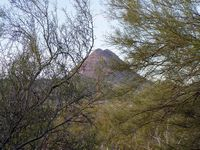 Gavilan Peak